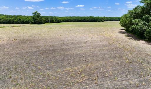 Photo #19 of SOLD property in Off Highway 903, Snow Hill, NC 116.0 acres