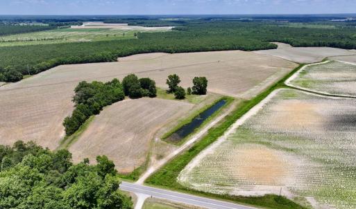 Photo #2 of SOLD property in Off Highway 903, Snow Hill, NC 116.0 acres