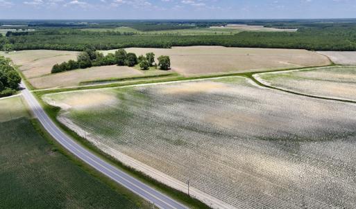 Photo #3 of SOLD property in Off Highway 903, Snow Hill, NC 116.0 acres