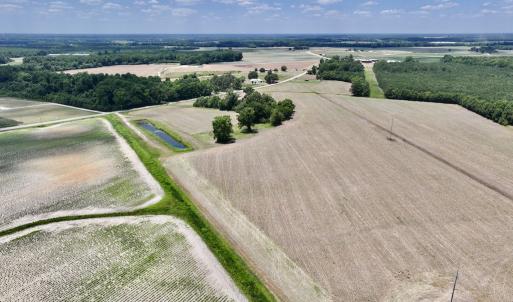 Photo #6 of SOLD property in Off Highway 903, Snow Hill, NC 116.0 acres