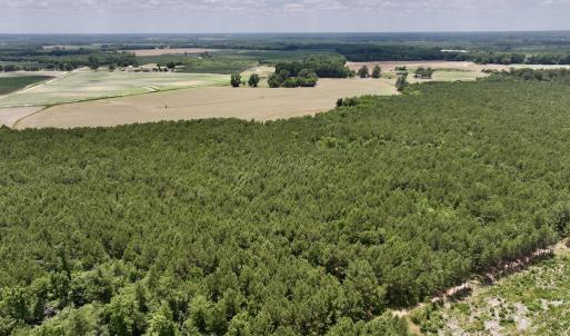 Photo #8 of SOLD property in Off Highway 903, Snow Hill, NC 116.0 acres