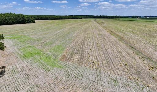 Photo #21 of SOLD property in Off Highway 903, Snow Hill, NC 116.0 acres