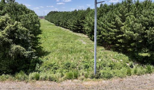 Photo #22 of SOLD property in Off Highway 903, Snow Hill, NC 116.0 acres