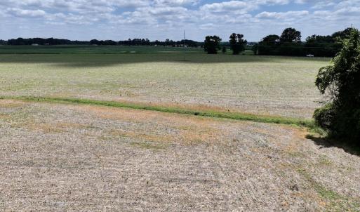 Photo #24 of SOLD property in Off Highway 903, Snow Hill, NC 116.0 acres