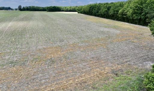 Photo #27 of SOLD property in Off Highway 903, Snow Hill, NC 116.0 acres