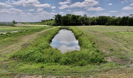 Photo #29 of SOLD property in Off Highway 903, Snow Hill, NC 116.0 acres