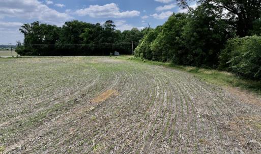 Photo #34 of SOLD property in Off Highway 903, Snow Hill, NC 116.0 acres