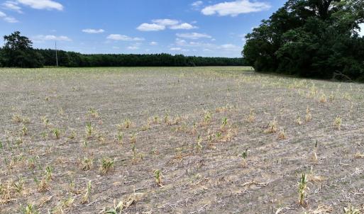 Photo #36 of SOLD property in Off Highway 903, Snow Hill, NC 116.0 acres