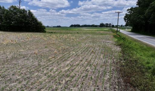 Photo #37 of SOLD property in Off Highway 903, Snow Hill, NC 116.0 acres