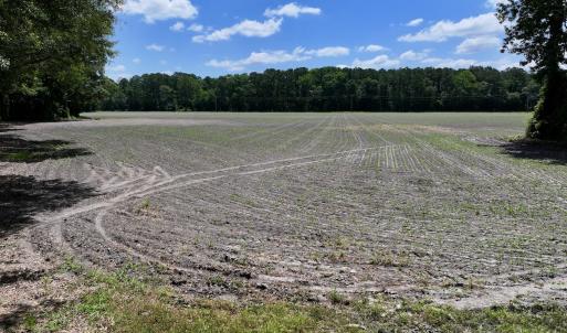 Photo #10 of SOLD property in 1125 Cupela Rd, Walstonburg, NC 38.0 acres