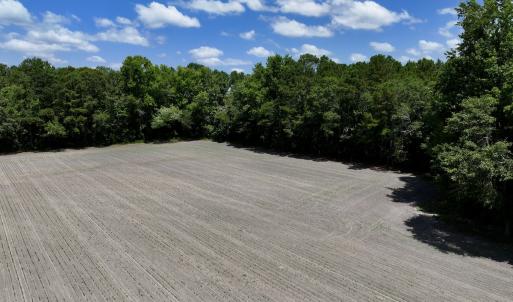 Photo #11 of SOLD property in 1125 Cupela Rd, Walstonburg, NC 38.0 acres