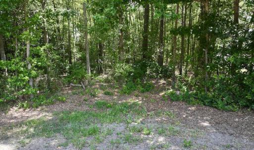 Photo #12 of SOLD property in 1125 Cupela Rd, Walstonburg, NC 38.0 acres