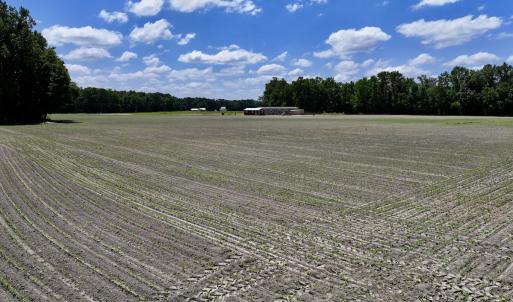 Photo #13 of SOLD property in 1125 Cupela Rd, Walstonburg, NC 38.0 acres