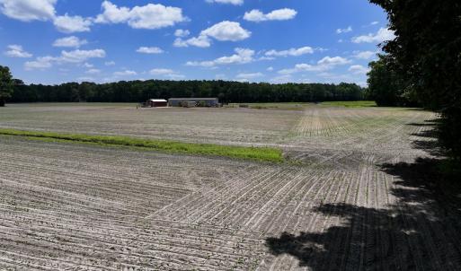 Photo #14 of SOLD property in 1125 Cupela Rd, Walstonburg, NC 38.0 acres
