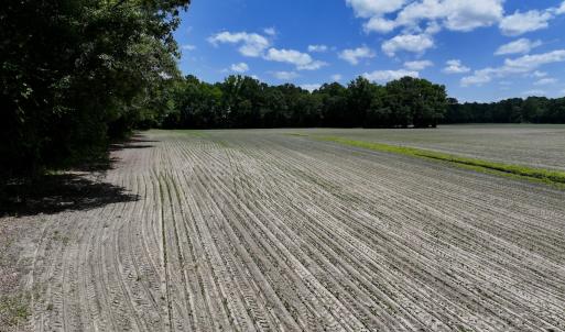 Photo #15 of SOLD property in 1125 Cupela Rd, Walstonburg, NC 38.0 acres