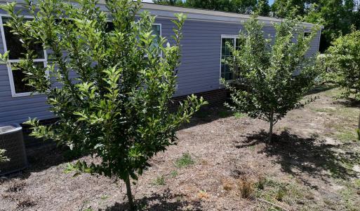 Photo #20 of SOLD property in 1125 Cupela Rd, Walstonburg, NC 38.0 acres