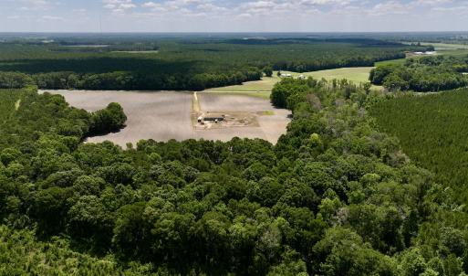 Photo #6 of SOLD property in 1125 Cupela Rd, Walstonburg, NC 38.0 acres