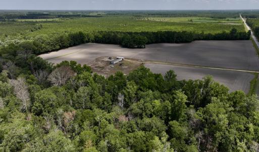 Photo #8 of SOLD property in 1125 Cupela Rd, Walstonburg, NC 38.0 acres