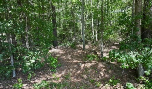 Photo #9 of SOLD property in 1125 Cupela Rd, Walstonburg, NC 38.0 acres