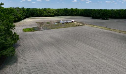 Photo #24 of SOLD property in 1125 Cupela Rd, Walstonburg, NC 38.0 acres