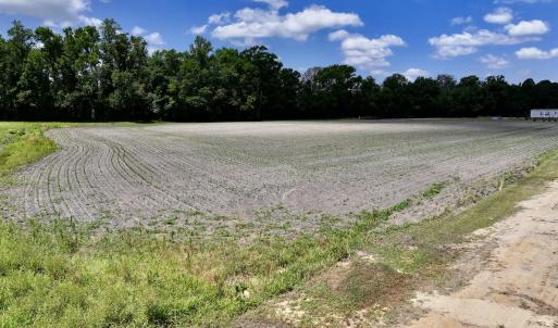 Photo #27 of SOLD property in 1125 Cupela Rd, Walstonburg, NC 38.0 acres