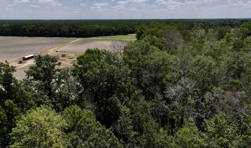 Photo #28 of SOLD property in 1125 Cupela Rd, Walstonburg, NC 38.0 acres