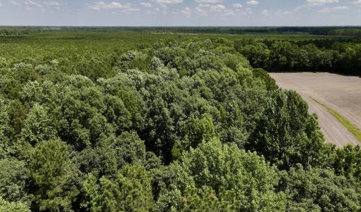 Photo #29 of SOLD property in 1125 Cupela Rd, Walstonburg, NC 38.0 acres