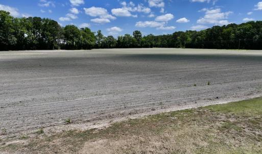 Photo #34 of SOLD property in 1125 Cupela Rd, Walstonburg, NC 38.0 acres