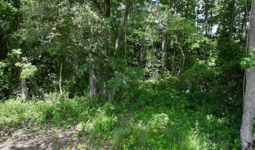 Photo #39 of SOLD property in 1125 Cupela Rd, Walstonburg, NC 38.0 acres