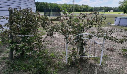 Photo #40 of SOLD property in 1125 Cupela Rd, Walstonburg, NC 38.0 acres