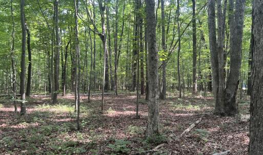 Photo #2 of SOLD property in 0001 Deer Run Trail, Mebane, NC 1.0 acres