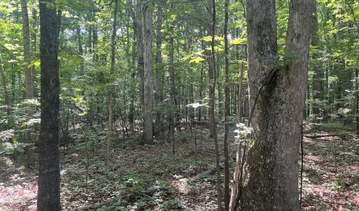 Photo #4 of SOLD property in 0001 Deer Run Trail, Mebane, NC 1.0 acres