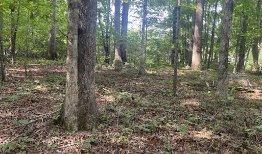 Photo #5 of SOLD property in 0001 Deer Run Trail, Mebane, NC 1.0 acres