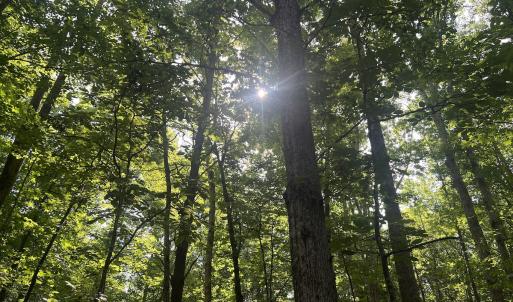Photo #8 of SOLD property in 0001 Deer Run Trail, Mebane, NC 1.0 acres