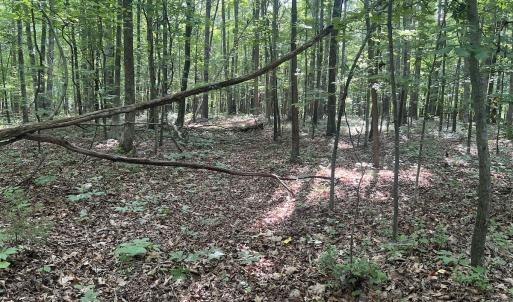 Photo #9 of SOLD property in 0001 Deer Run Trail, Mebane, NC 1.0 acres