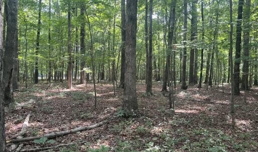 Photo #10 of SOLD property in 0001 Deer Run Trail, Mebane, NC 1.0 acres