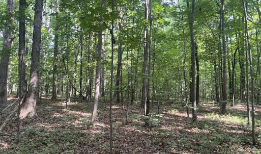 Photo #11 of SOLD property in 0001 Deer Run Trail, Mebane, NC 1.0 acres