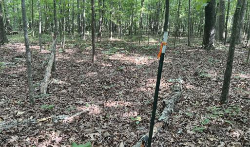 Photo #12 of SOLD property in 0001 Deer Run Trail, Mebane, NC 1.0 acres