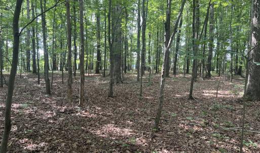 Photo #2 of SOLD property in 0000 Deer Run Trail, Mebane, NC 3.8 acres