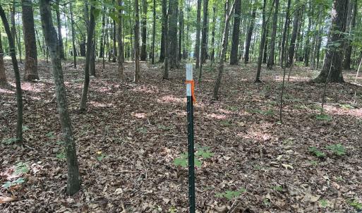 Photo #3 of SOLD property in 0000 Deer Run Trail, Mebane, NC 3.8 acres