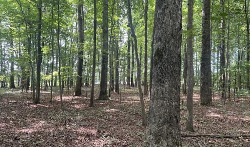 Photo #4 of SOLD property in 0000 Deer Run Trail, Mebane, NC 3.8 acres
