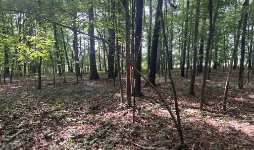 Photo #5 of SOLD property in 0000 Deer Run Trail, Mebane, NC 3.8 acres