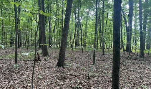 Photo #6 of SOLD property in 0000 Deer Run Trail, Mebane, NC 3.8 acres