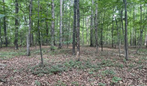 Photo #7 of SOLD property in 0000 Deer Run Trail, Mebane, NC 3.8 acres