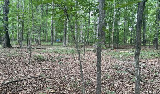 Photo #8 of SOLD property in 0000 Deer Run Trail, Mebane, NC 3.8 acres