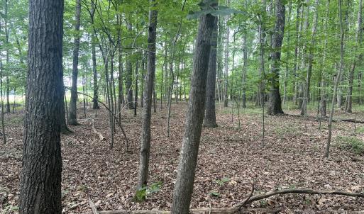 Photo #9 of SOLD property in 0000 Deer Run Trail, Mebane, NC 3.8 acres