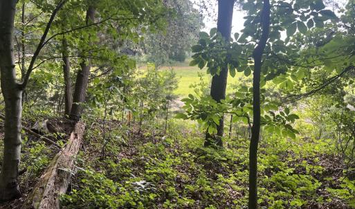 Photo #10 of SOLD property in 0000 Deer Run Trail, Mebane, NC 3.8 acres