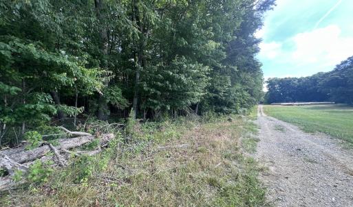 Photo #12 of SOLD property in 0000 Deer Run Trail, Mebane, NC 3.8 acres