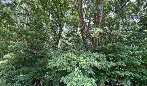 Photo #14 of SOLD property in 0000 Deer Run Trail, Mebane, NC 3.8 acres