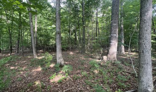 Photo #18 of SOLD property in 0000 Deer Run Trail, Mebane, NC 3.8 acres